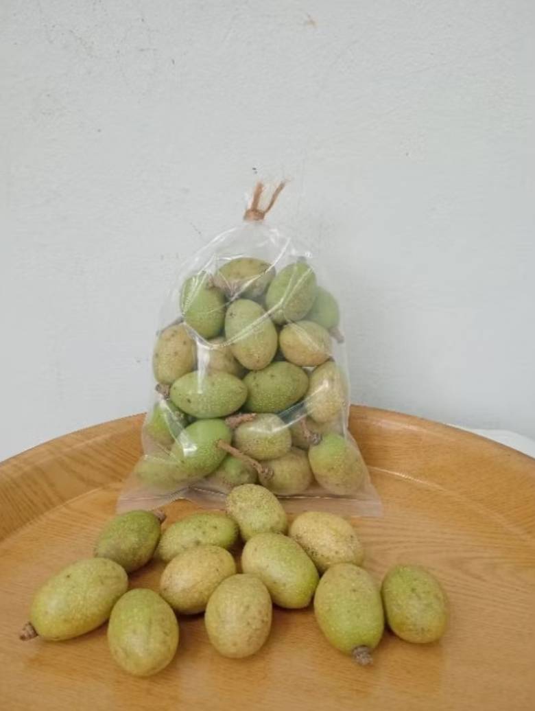 มะกอกป่า สด สะอาด กลิ่นหอม