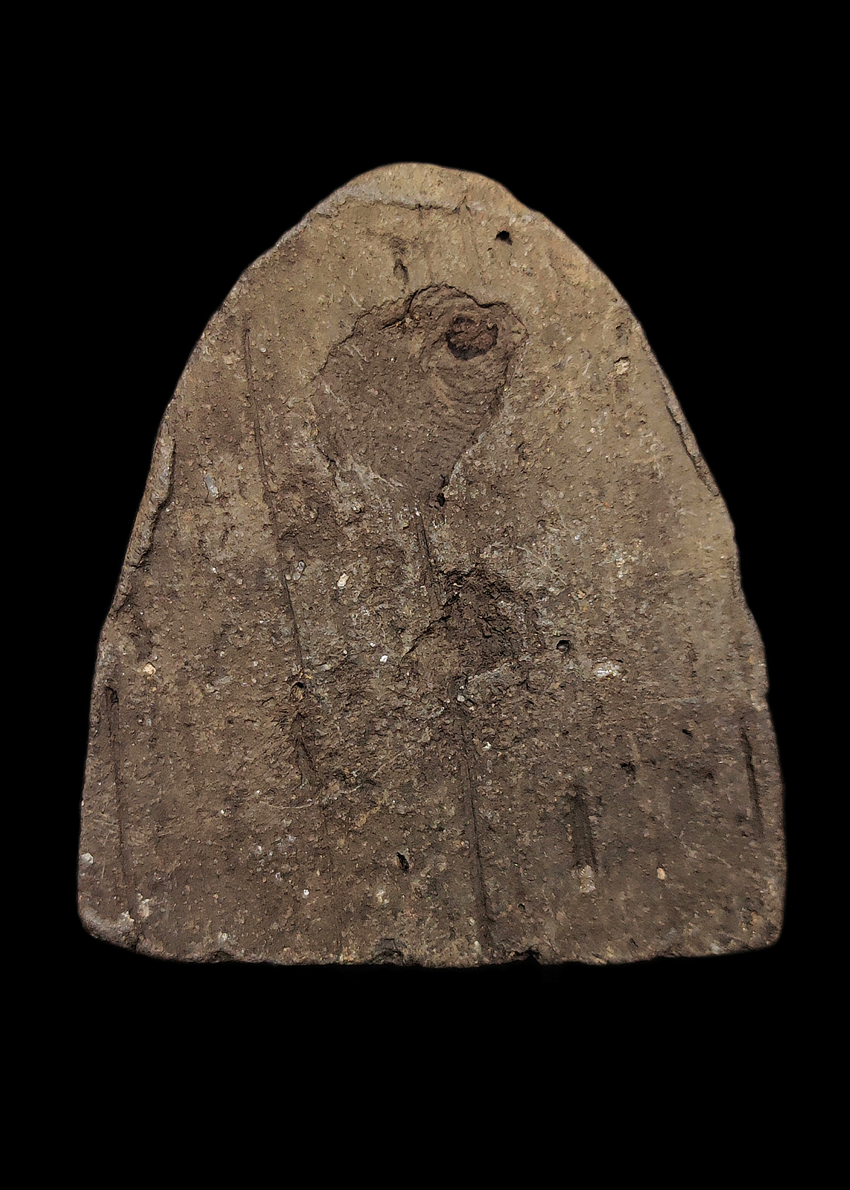 พระรูปเหมือนเนื้อดินผสมว่าน หลวงพ่อจันทร์ วัดทุ่งเฟื้อ จ.นครศรีธรรมราช รุ่นแรก พิมพ์ใหญ่ เป็นพระยุคแรกๆของท่าน