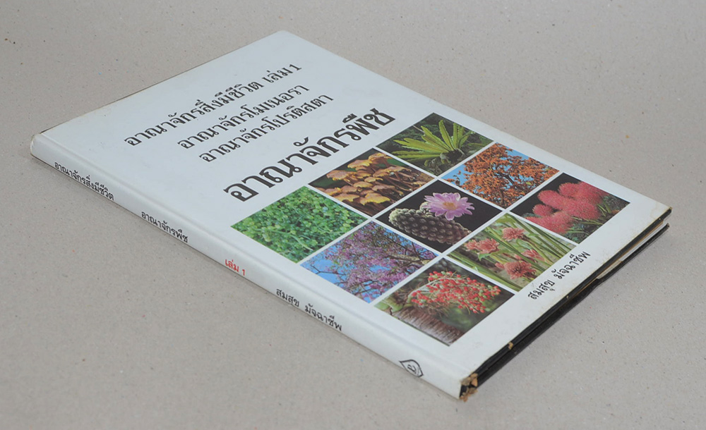 อาณาจักรสิ่งมีชีวิต เล่ม 1 อาณาจักรพืช