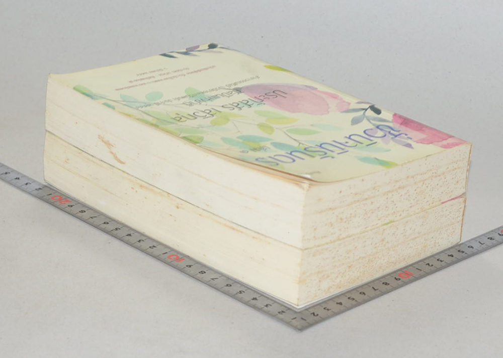 ชั่วนิจนิรันดร (เล่ม 1-2)