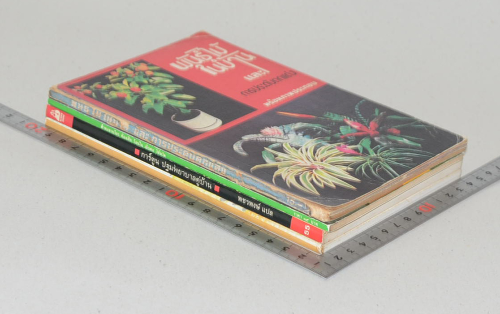 รวมเรื่อง (4 เล่ม)