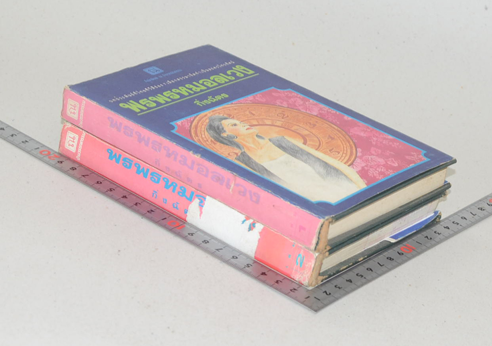 พรพรหมอลเวง (2 เล่มจบ)