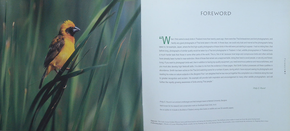 WILD WINGS: A Portfolio of Birds in Thailand