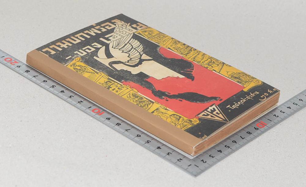 ความบกพร่องของเอเชีย