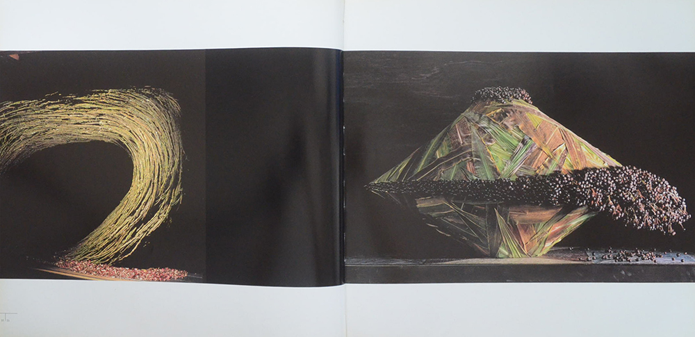 DANIEL OST LEAFING THROUGH FLOWERS