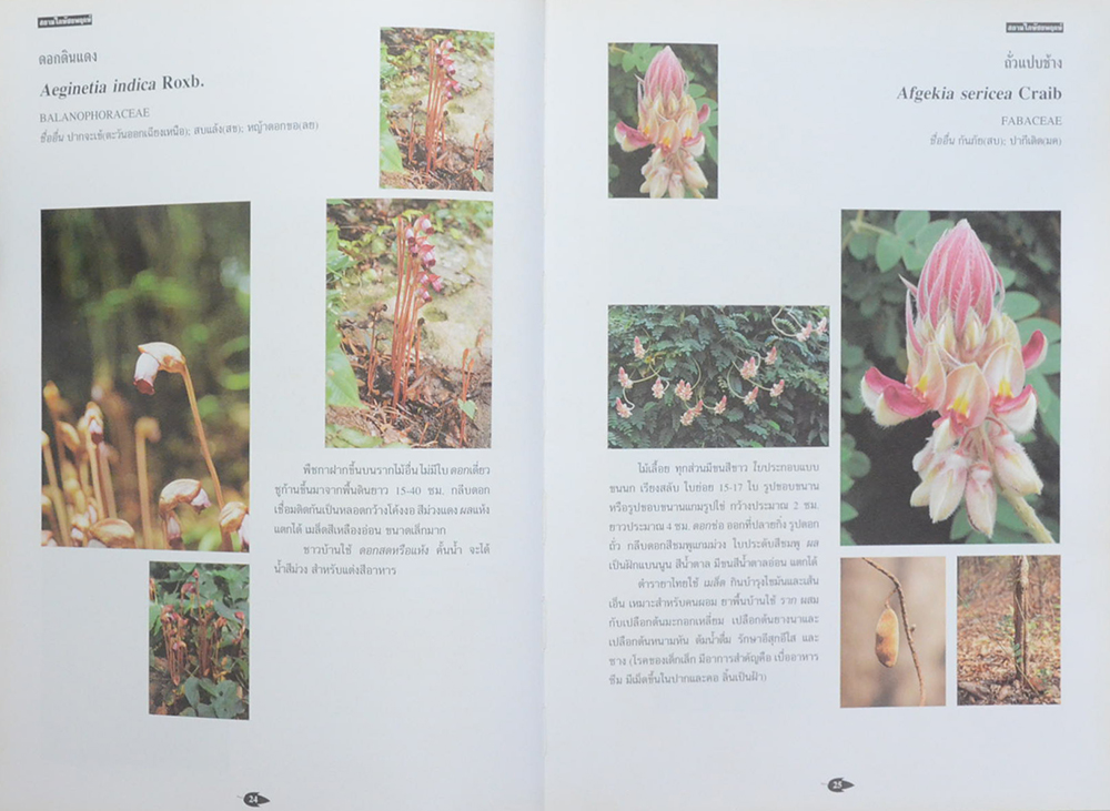 สยามไภษัชยพฤกษ์ ภูมิปัญญาของชาติ