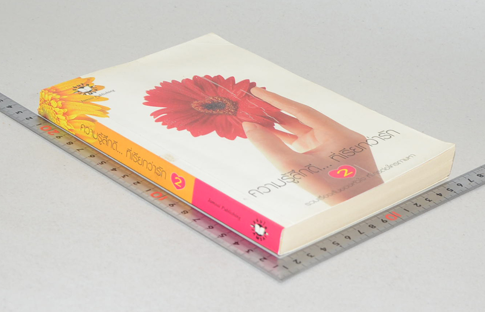 ความรู้สึกดี...ที่เรียกว่ารัก 2