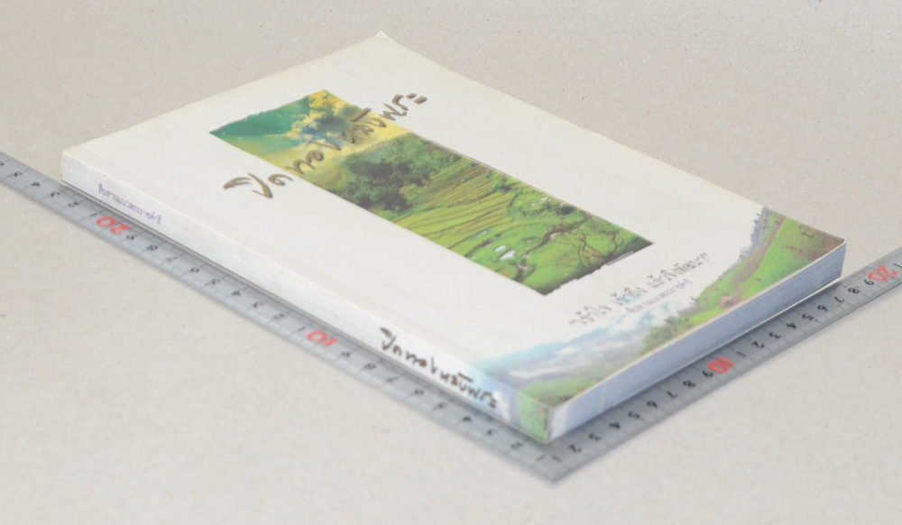 ปิดทองหลังพระ