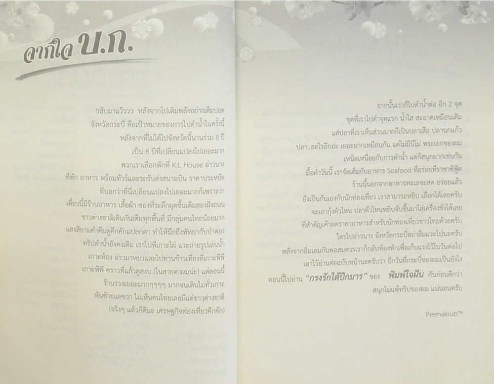 กรงรักใต้ปีกมาร (เล่มเดียวจบ)