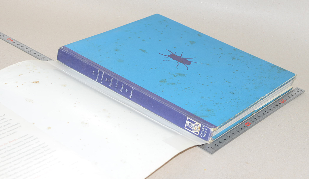 An Inordinate Fondness for Beetles