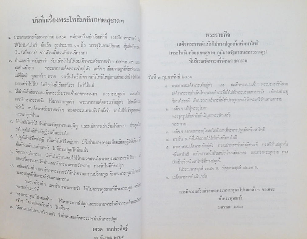 โพธิใต้แม่