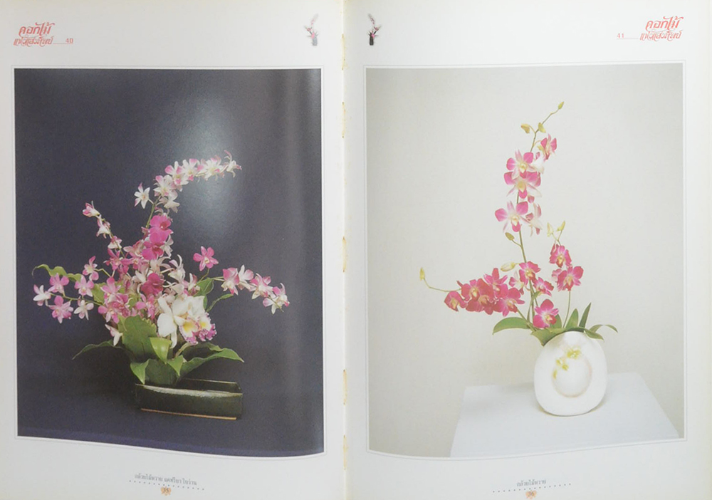 ดอกไม้แห่งแสงทิพย์ (เล่ม 6)