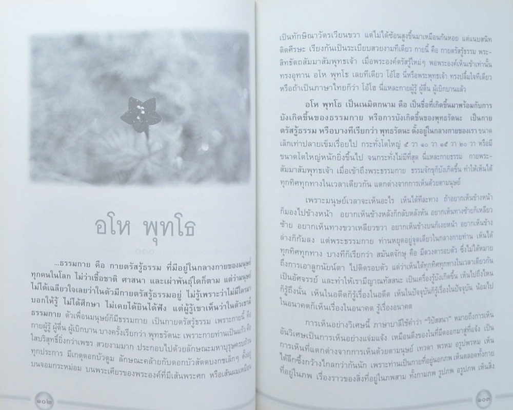 แม่ แม่พระ-พระแม่ (แม่บท เดินทางข้ามวัฏสงสาร)