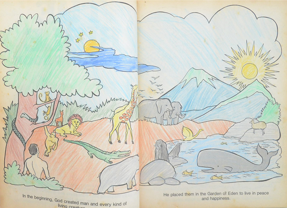 THE BIBLE COLORING BOOK
