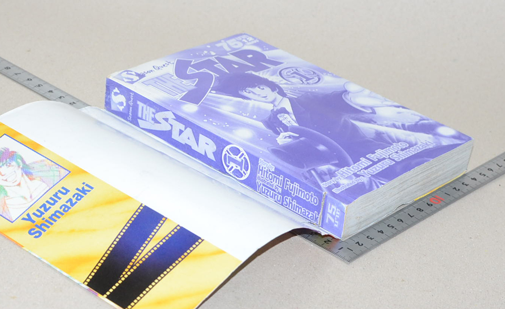 THE STAR (12 เล่มจบ)