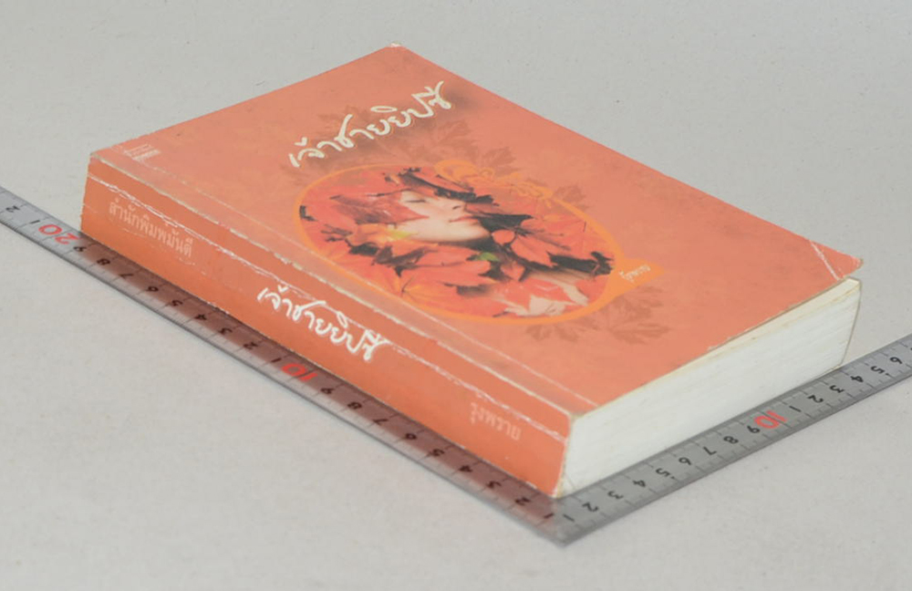 เจ้าชายยิปซี