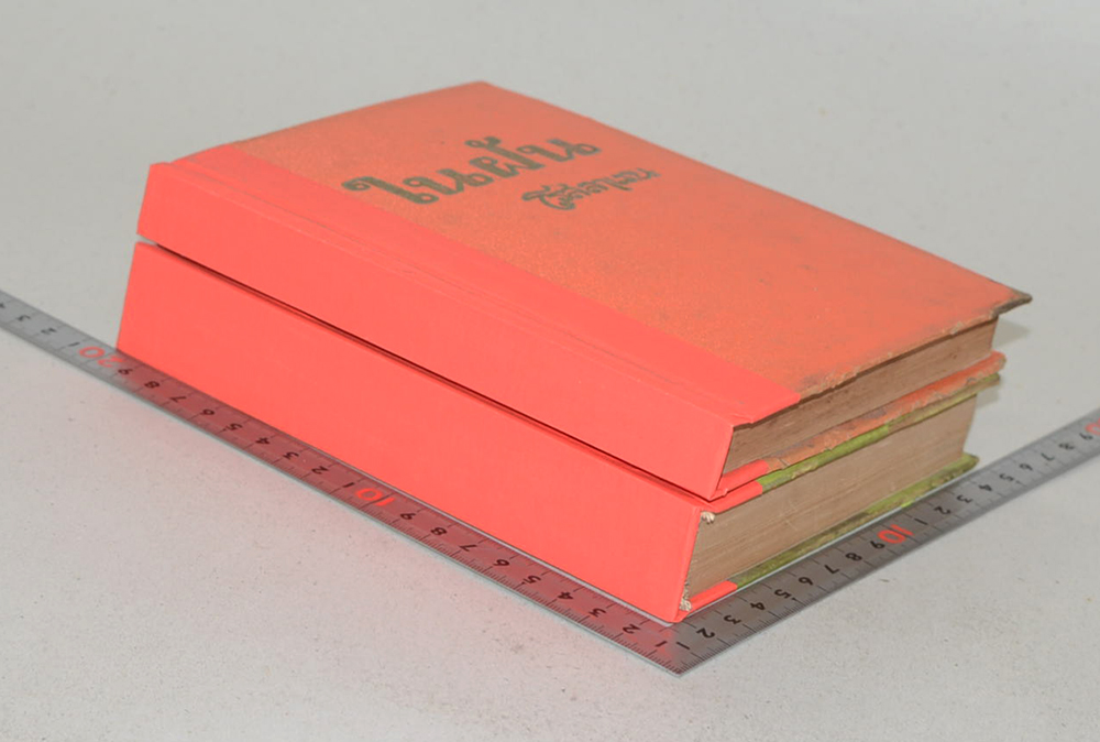 ในฝัน (2 เล่มจบ)