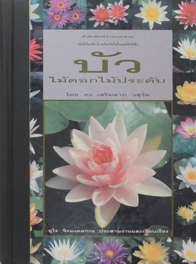 บัว ไม้ดอกไม้ประดับ (ขายตามสภาพ)