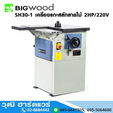 BIGWOOD SH30-1 เครื่องแกะสลักลายไม้ 2HP