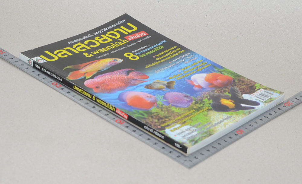 ปลาสวยงาม & พรรณไม้น้ำเงินล้าน