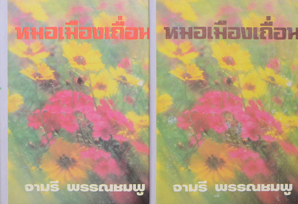 หมอเมืองเถื่อน (2 เล่มจบ)
