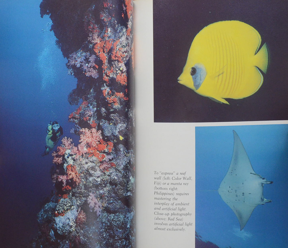 MASTERING UNDERWATER PHOTOGRAPHY