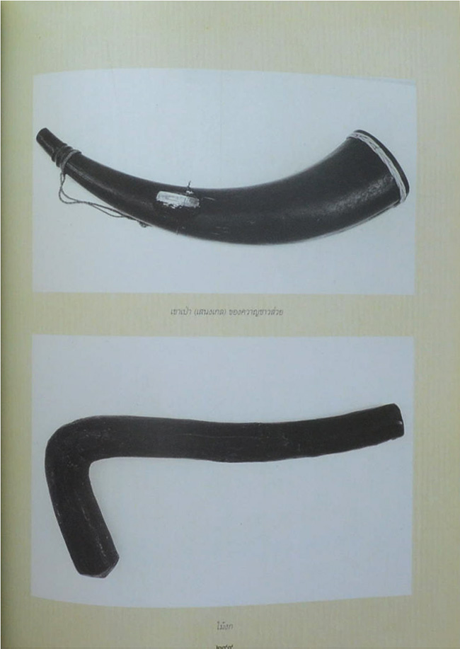 ท่านผู้หญิงอรอวล อิศรางกูร ณ อยุธยา (การจับช้างหรือการคล้องช้าง)