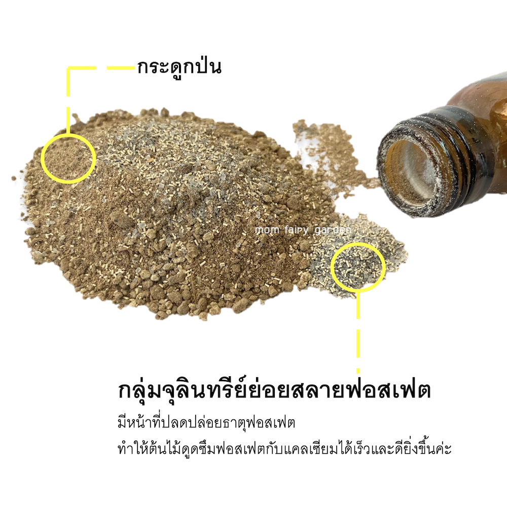 🔥ปุ๋ยกระดูกป่น ไม่เน่าปลายดอก แก้อาการใบไหม้จากการขาดฟอสฟอรัส แคลเซี่ยม บำรุงราก Bone Meal