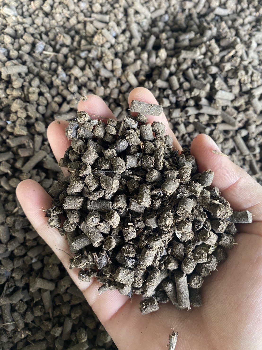 ปุ๋ยขี้ไก่อัดเม็ดแท้ Pellet Chicken Fertilizer