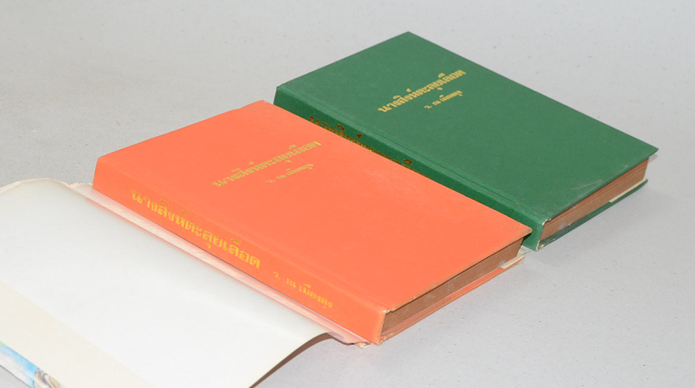 นางสิงห์ตะลุยเลือด (2 เล่มจบ)