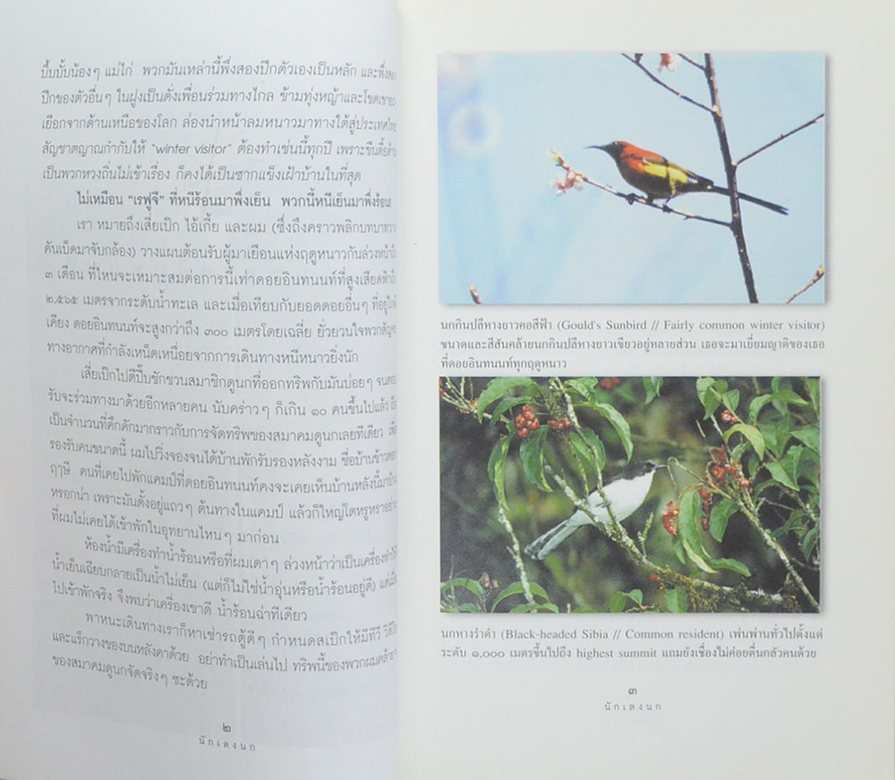 นักเลงนก