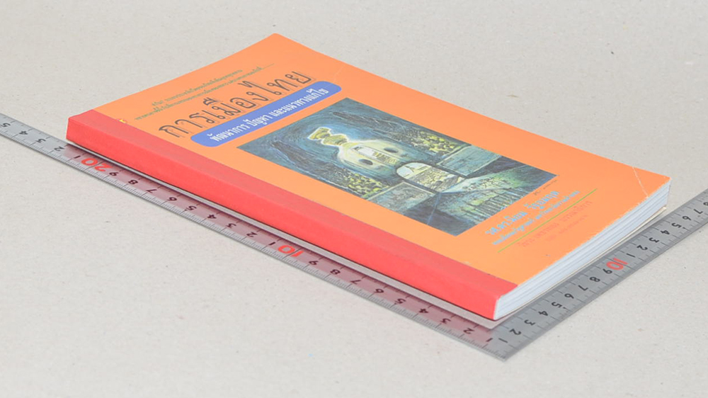 การเมืองไทย พัฒนาการ ปัญหา และแนวทางแก้ไข (ขายตามสภาพ)