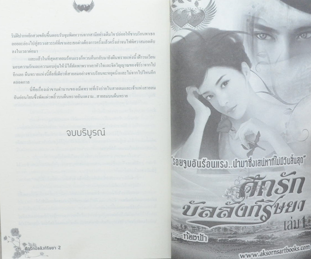 ศึกรักบัลลังก์ริษยา (2 เล่มจบ)