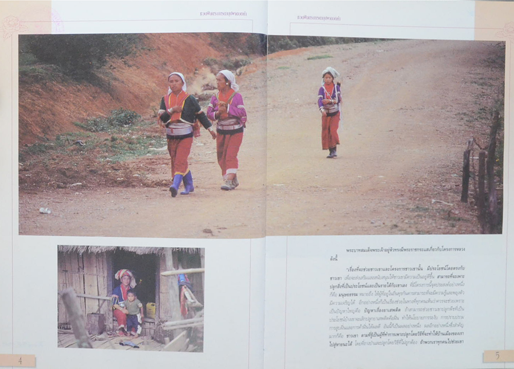 ชวนฝันตระการตา บุปผาดอยคำ (ขายตามสภาพ)