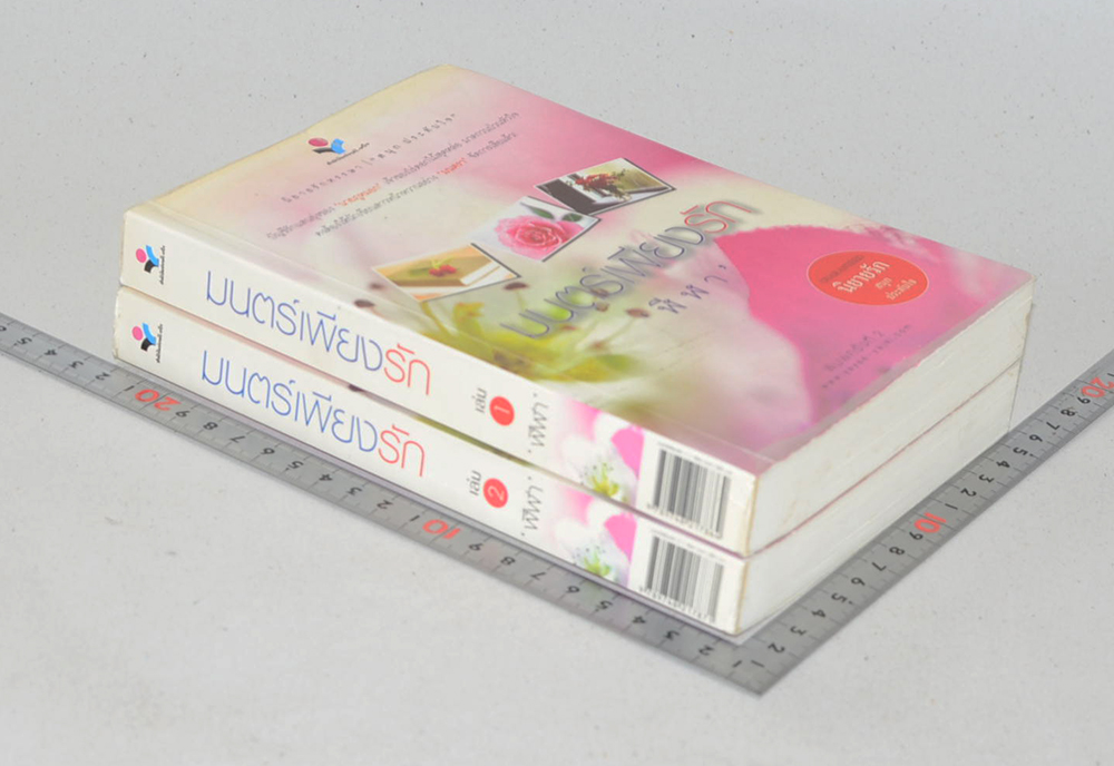 มนตร์เพียงรัก (2 เล่มจบ)