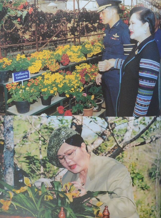 Her Majesty Queen Sirikit and the Conservation on Natural Resources and Environment