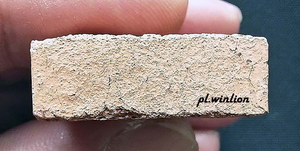 พระหลวงพ่อโต พิมพ์สมาธิ หลวงพ่อเทียม วัดกษัตราธิราช พ.ศ. 2519