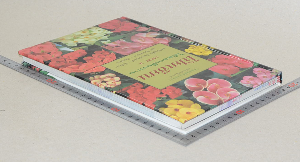 โป๊ยเซียน ไม้ดอกเสี่ยงทาย (เล่ม 2) (ขายตามสภาพ)