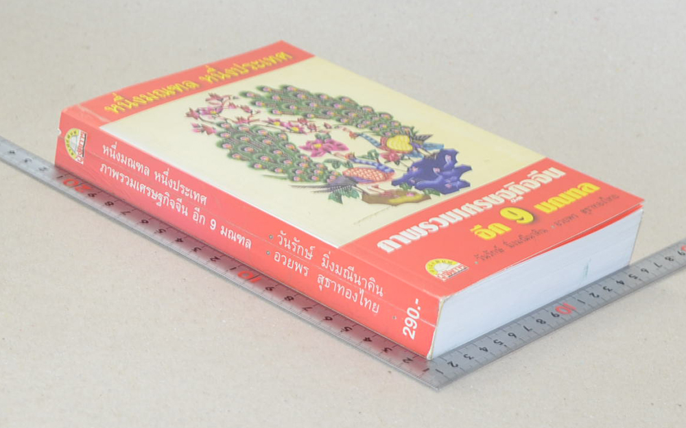 หนึ่งมณฑล หนึ่งประเทศ ภาพรวมเศรษฐกิจจีน อีก 9 มณฑล (ขายตามสภาพ)