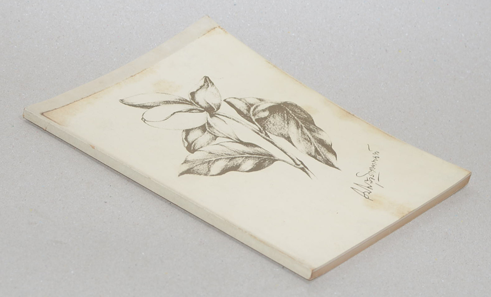 นางสุทธิพากยพิบูล (พุทธสาวิกา)