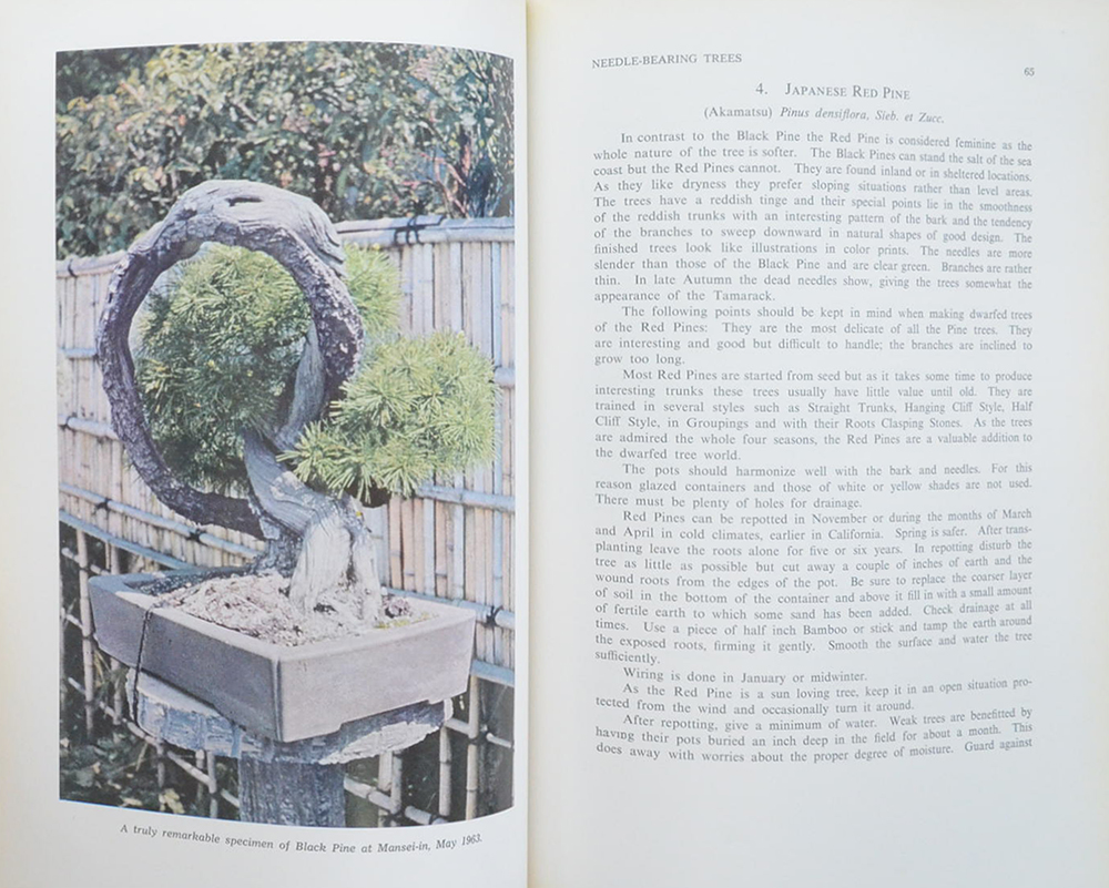 A DWARFED TREE MANUAL for WESTERNERS