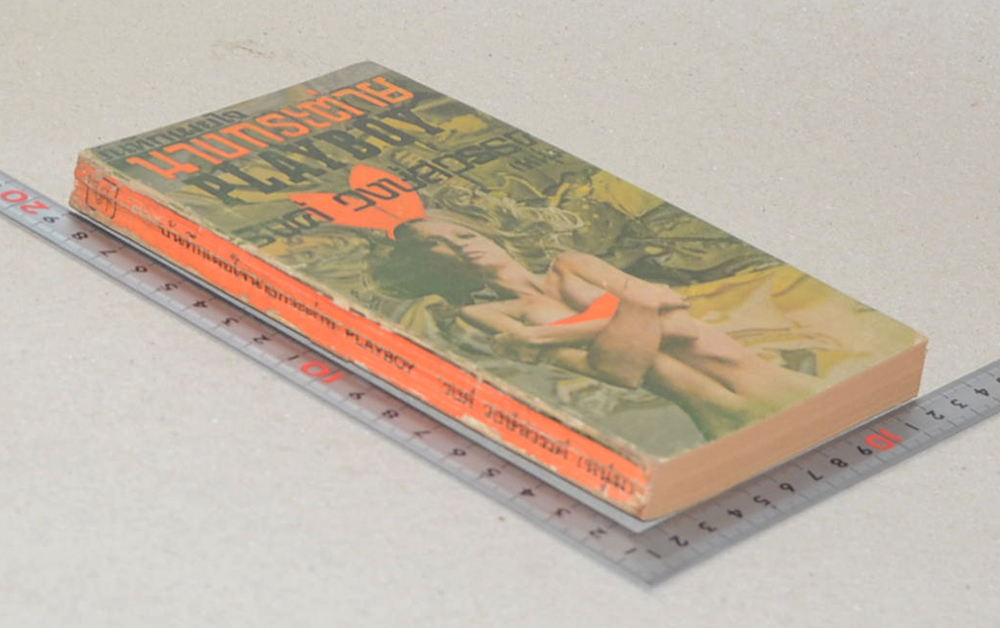 บันทึกเผยใจนางกระต่าย PLAYBOY (เล่มเล็ก)