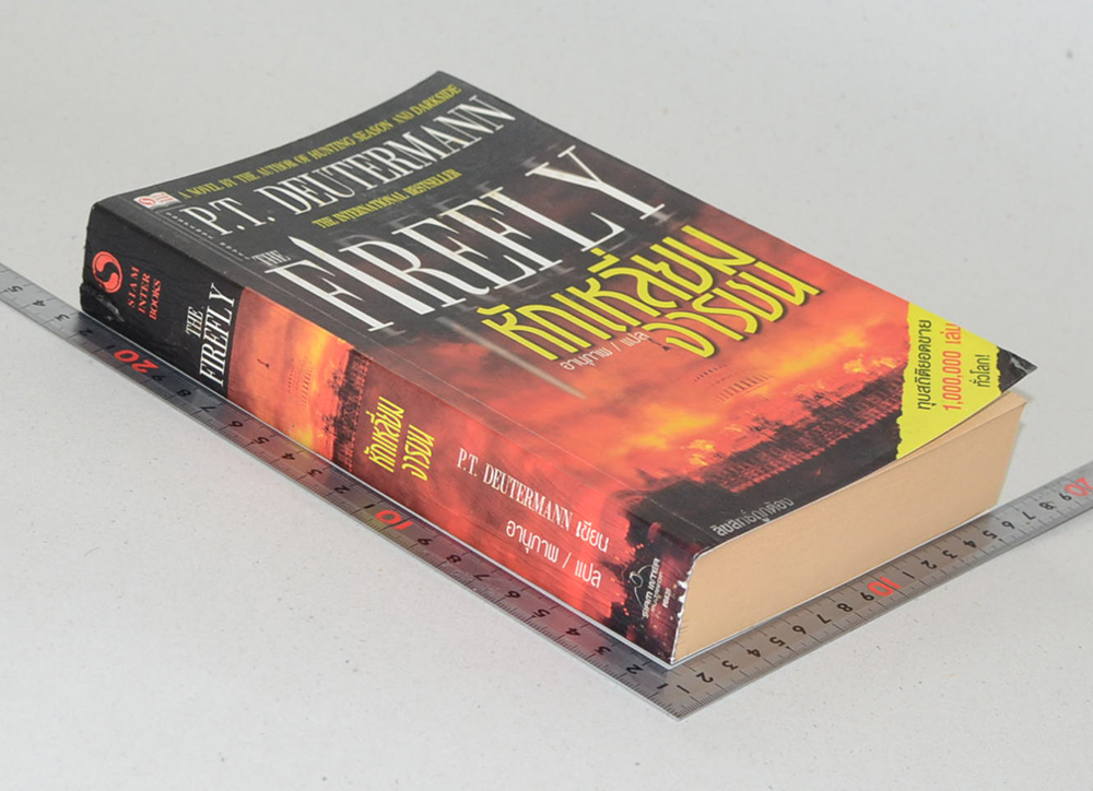 หักเหลี่ยมจารชน