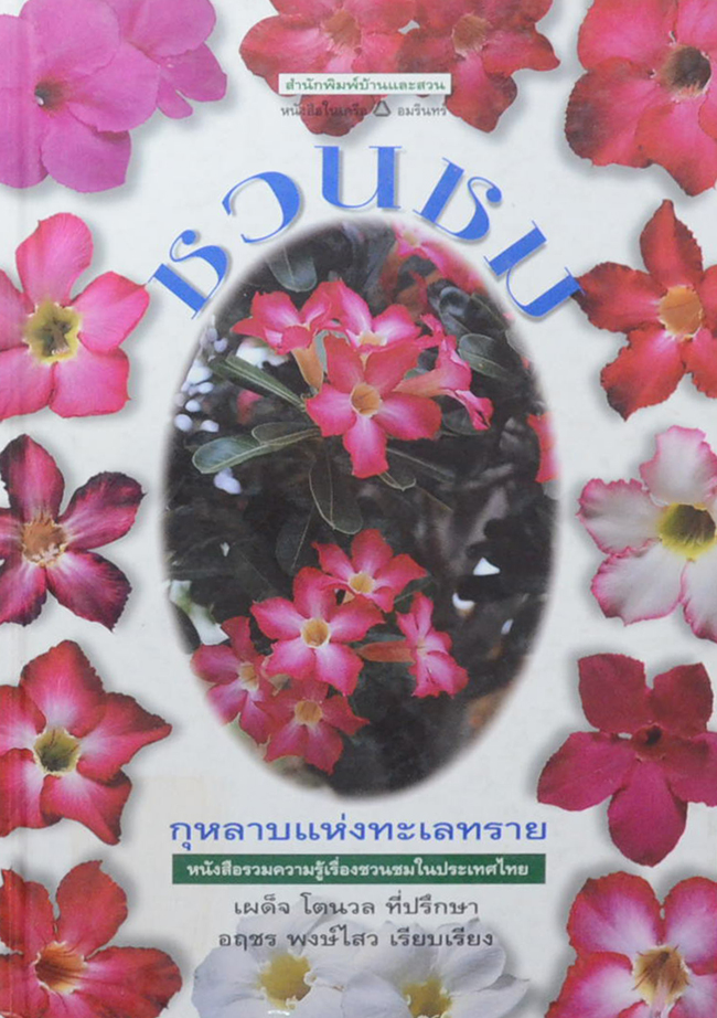 ชวนชม: กุหลาบแห่งทะเลทราย (ขายตามสภาพ)