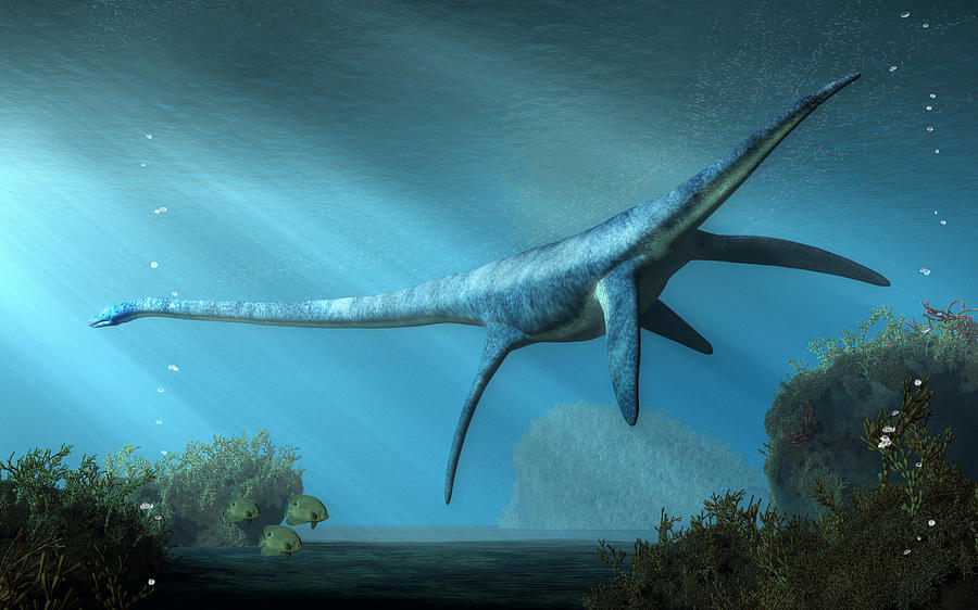 Elasmosaurus ไดโนเสาร์ Dinosaur อีลาสโมซอรัส Nessie 1/30