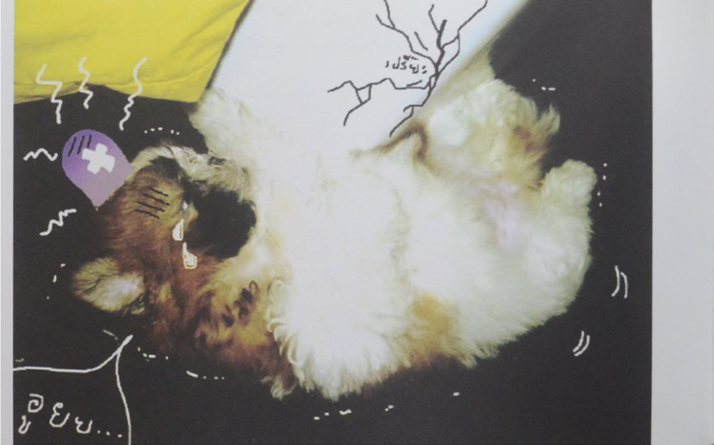 กุ้ยช่ายผจญภัย vol. 1