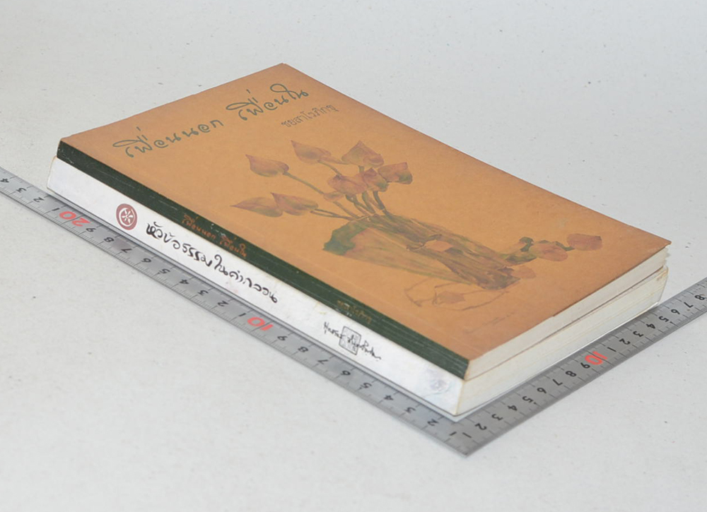 รวมเรื่อง (2 เล่ม)