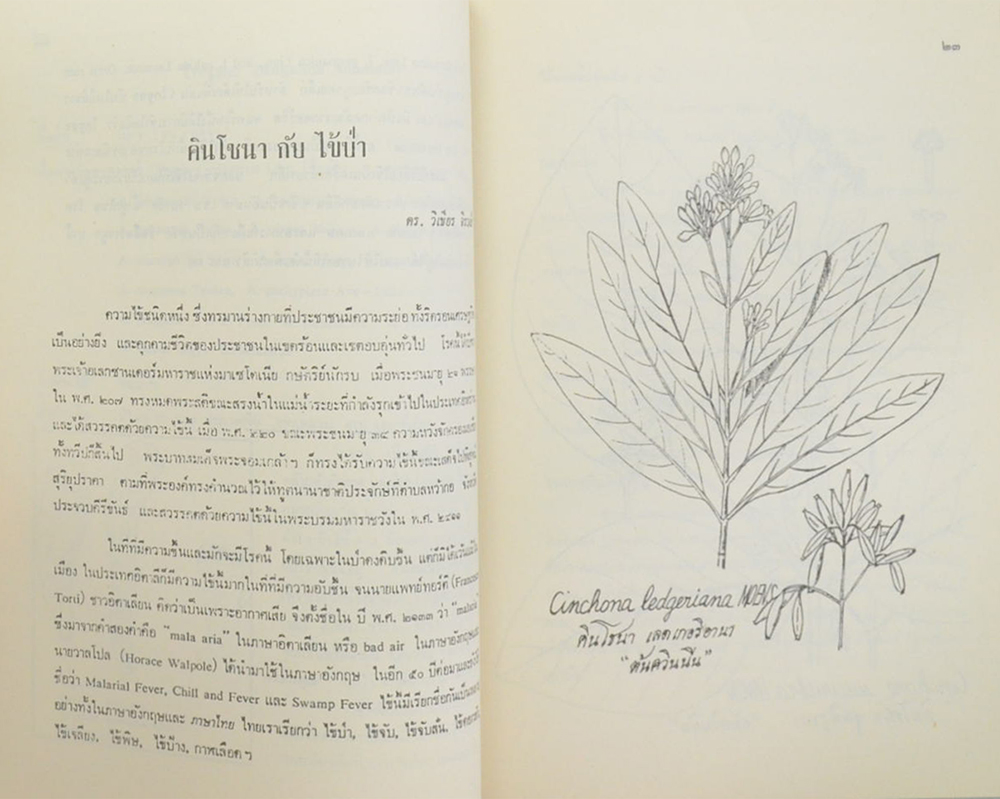 นายกิจ จีรวงส์ (สมุนไพร โกศต่างๆ)