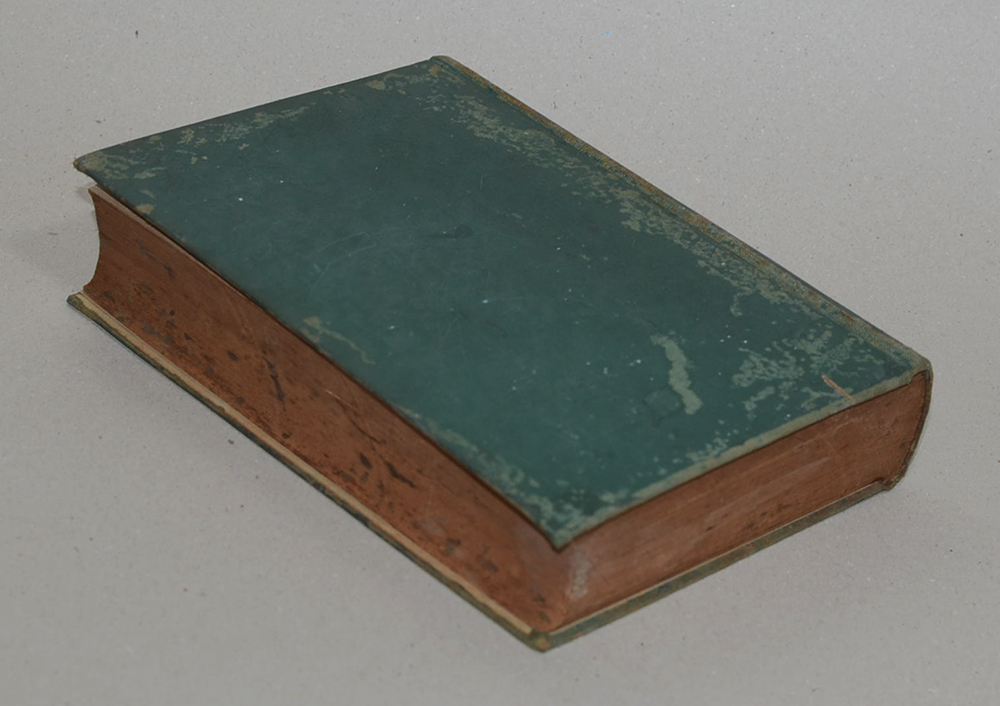 หลักเศรษฐศาสตร์ (ตำหนิ)