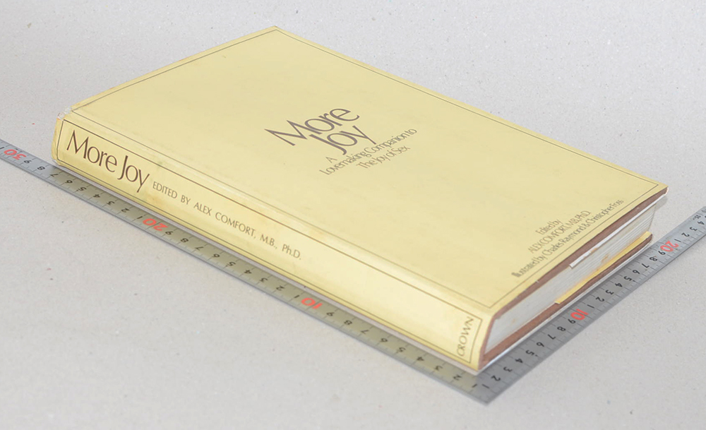 More Joy A Lovemaking Companion to the Joy of Sex